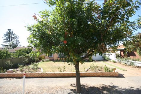 74 Ormond Ave, Daw Park, SA 5041