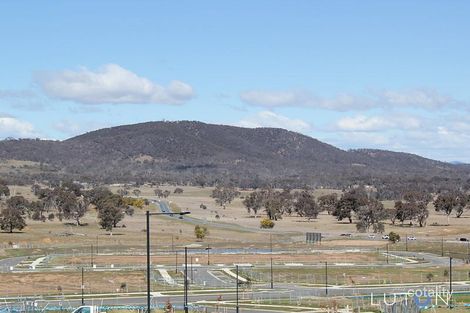 1 Melomys Cct, Throsby, ACT 2914