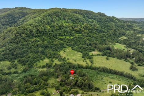 Property photo of 294 Gungas Road Nimbin NSW 2480
