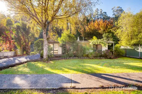 1647 Little Yarra Rd, Powelltown, VIC 3797
