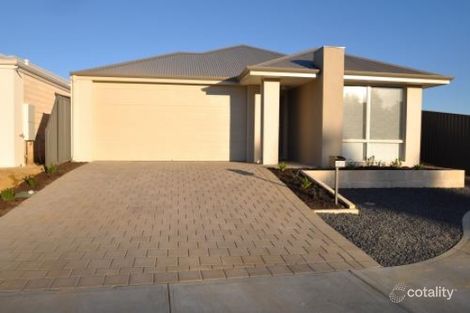 71 Ajax Way, Wattle Grove, WA 6107