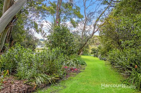 Property photo of 225 Penguin Road West Ulverstone TAS 7315