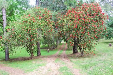 126 Gulph Creek Rd, Nerrigundah, NSW 2545