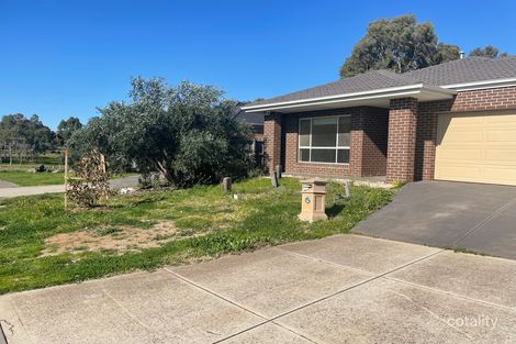 Property photo of 37 Starling Avenue Tarneit VIC 3029