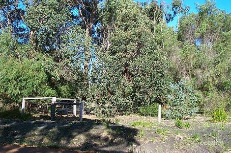 198 O'Connell St, Little Grove, WA 6330