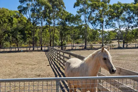 Property photo of 100 McKinleys Road Clunes VIC 3370