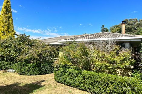 Property photo of 26 Regent Street Waverley TAS 7250
