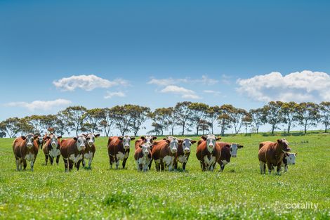 710 Paschendale Rd, Henty, VIC 3312