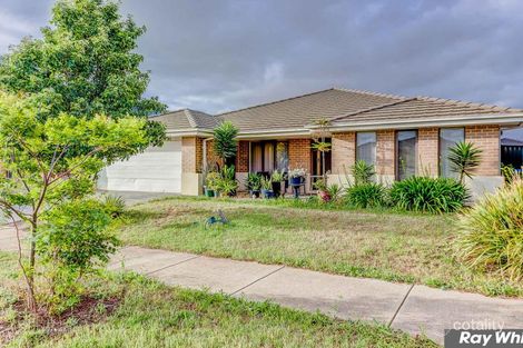 Property photo of 20 Blue Jay Crescent Tarneit VIC 3029