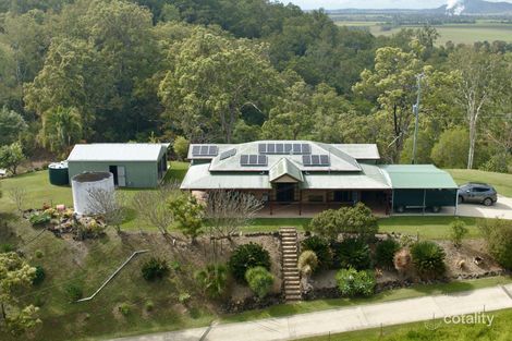 572 Devereux Creek Rd, Devereux Creek, QLD 4753