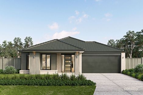 42 Hinchinbrook Cct, Morayfield, QLD 4506