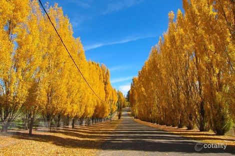 Property photo of 120 Bathurst Road Orange NSW 2800