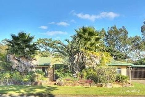 Property photo of 17 Bluegum Street Macgregor QLD 4109