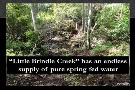 Property photo of 146 Tree Fern Road Loadstone NSW 2474
