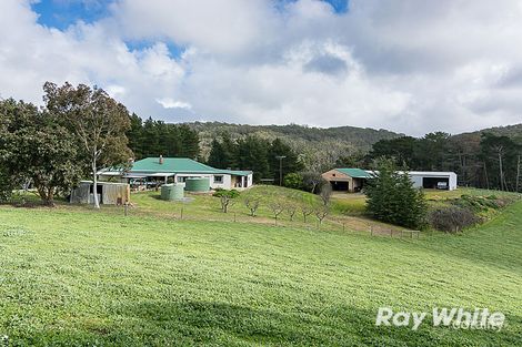 91 Ostigh Rd, Carey Gully, SA 5144