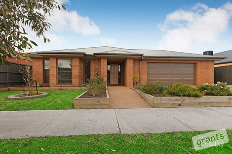 Property photo of 33 Honeyeater Way Pakenham VIC 3810