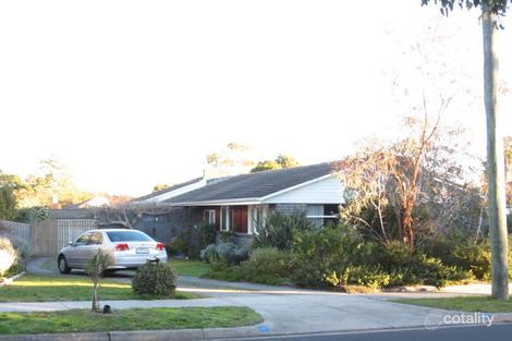 14 Willow Ave, Glen Waverley, VIC 3150