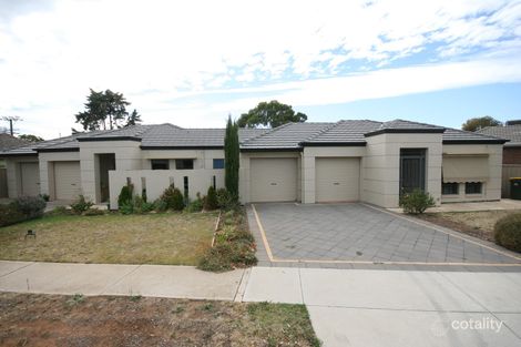 51 Pemberton St, Oaklands Park, SA 5046