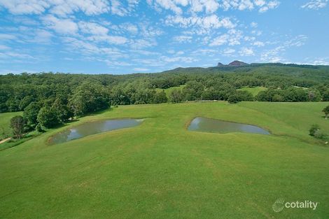 Property photo of 9 Tyalgum Ridge Road Tyalgum NSW 2484