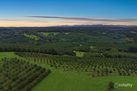 1192 Eltham Rd, Alstonvale, NSW 2477