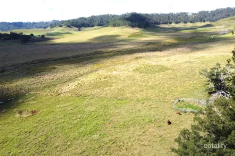 100 Backmede Rd, Backmede, NSW 2470