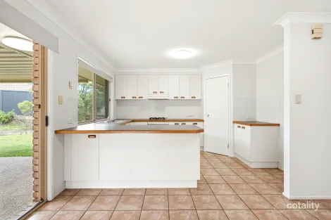 Property photo of 53 Reginald Avenue Arana Hills QLD 4054