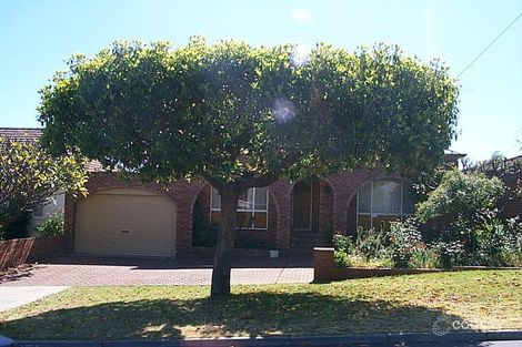 155 Gildercliffe St, Scarborough, WA 6019
