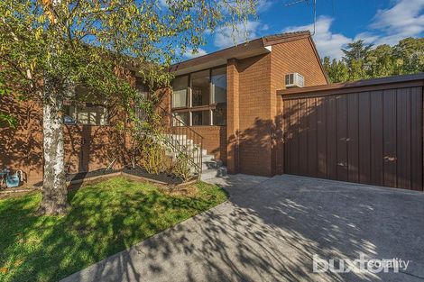 Property photo of 3/6 Avondale Grove Mount Waverley VIC 3149