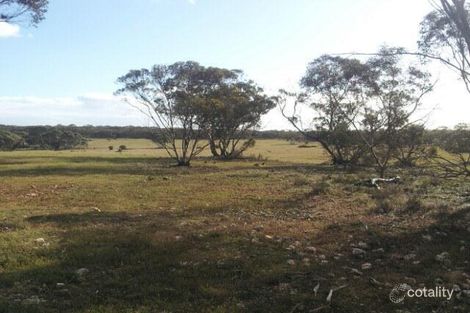 Property photo of 648 Goondooloo Road Bowhill SA 5238