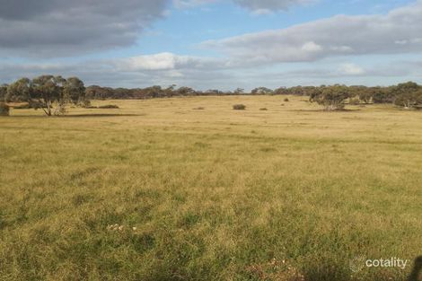 Property photo of 648 Goondooloo Road Bowhill SA 5238