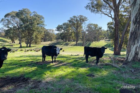 408 Monkey Gully Rd, Mansfield, VIC 3722