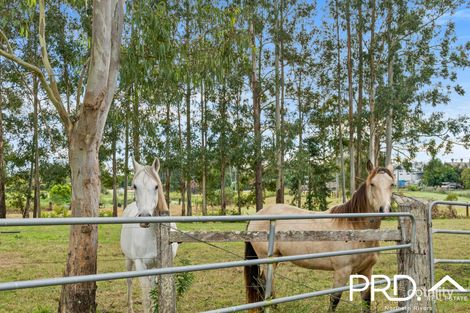 Property photo of 18 Chauvel Street Kyogle NSW 2474