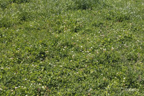 1864 Castlereagh Hwy, Mendooran, NSW 2842