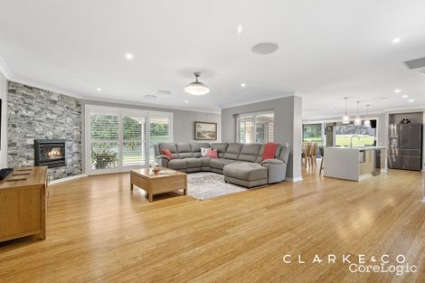 Property photo of 3 Galeff Place Bolwarra Heights NSW 2320
