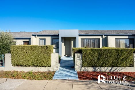 36 Ayrton St, Gungahlin, ACT 2912