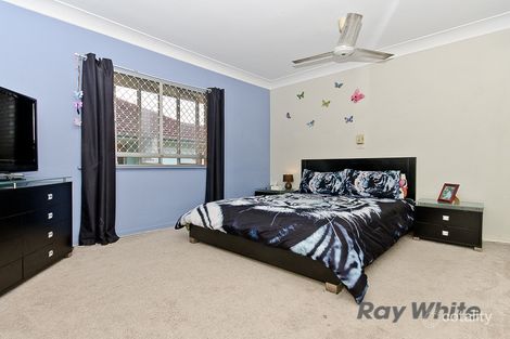 Property photo of 178 Webster Road Stafford QLD 4053