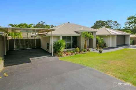 Property photo of 12 Elaine Place Birkdale QLD 4159