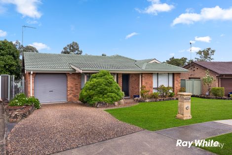 141 Cowper Cir, Quakers Hill, NSW 2763