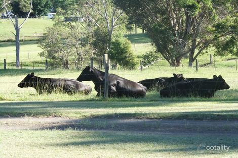 Property photo of 333 Alison Road Alison NSW 2420