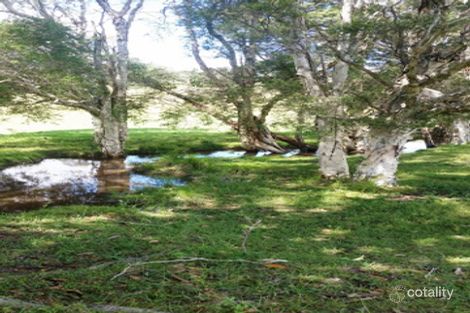 Property photo of 333 Alison Road Alison NSW 2420