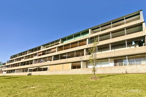 Property photo of 6/6 Heard Street Mawson ACT 2607