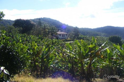 Property photo of 168 Rogers Lane Yarrahapinni NSW 2441