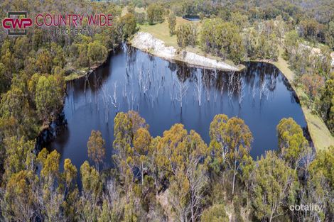 1941 Emmaville Rd, Reddestone, NSW 2370