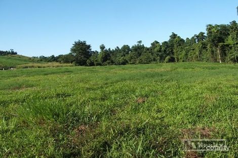 389 Camp Creek Rd, Camp Creek, QLD 4871