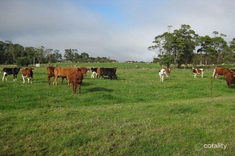 45 Poilinna Rd, Edith Creek, TAS 7330