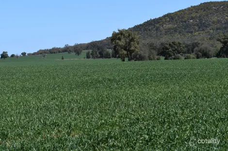 120 Ganantagi Rd, Yarrabandai, NSW 2875