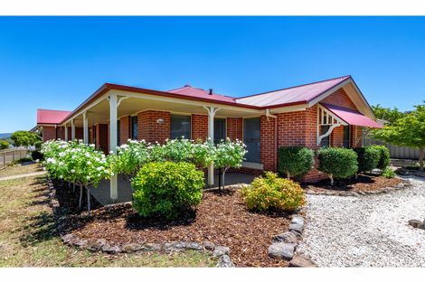 Property photo of 66 Honeyeater Circuit Thurgoona NSW 2640