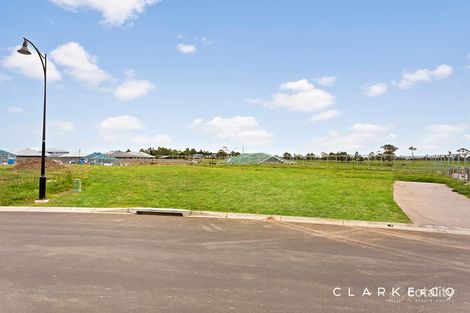 Property photo of 67 Petaltail Street Chisholm NSW 2322