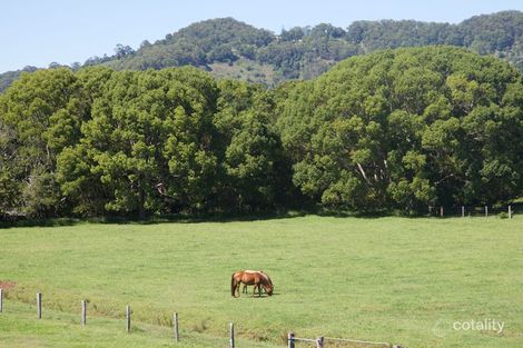 113 Left Bank Rd, Mullumbimby, NSW 2482