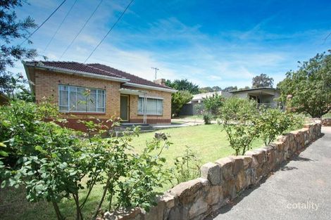 Property photo of 11 Lawn Street Panorama SA 5041